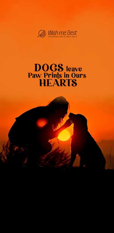 dog lover wishes - Dogs leave paw prints in our hearts